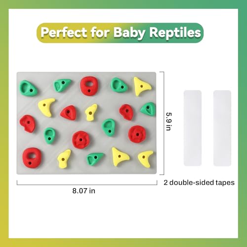 MITCHENIFY Climbing Wall for Reptiles, Reptile Tank Terrarium Accessories Habitat Decor for Bearded Dragons, Leopard Geckos, Lizards, Snakes, Tree Frogs, Amphibian Paludariums Enclosure Supplies - Thumbnail 3