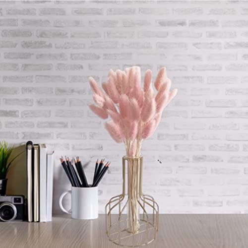 Dried Bunny Tail Flower Bouquet Natural 50 cm 50 pcs miniatura 6