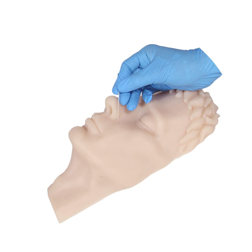 WisWinDa Injection Training Silicone Head Model Silicone Practice Face Model Silicone Mannequin Demonstate for Medical Students Doctors Esthetician Teaching Training and Practice (Male)