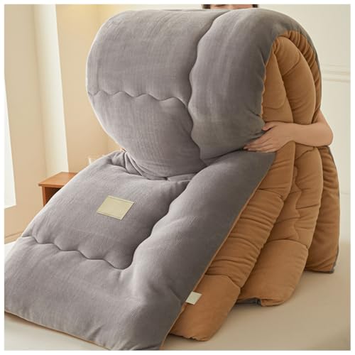 ZTGL Edredón Algodón Invierno, Edredón De Terciopel De Doble Cara Grueso Y Cálido, Otoño-Invierno Manta Cama Engrosado, Edredón De Felpa, Hipoalergénico Núcleo De Microfibra C, 180×220cm/4kg