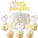 Little Pumpkin Cake Cupcake Topper Sweet Fall Baby Shower Decoration Autumn Themed Gender Reveal 1st Birthday Party Supplies Pink