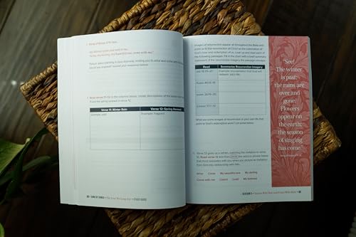 Image of Song of Songs Bible Study Guide plus Streaming Video: The Love We Long For (Beautiful Word Bible Studies)