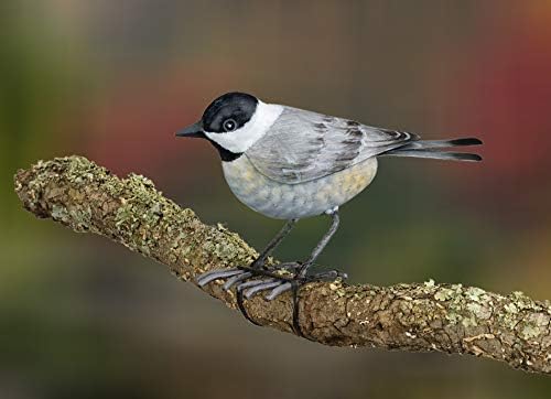 Wonders-Shop-USA Metal Songbird Bird Indoor/Outdoor Decor for Garden - Chickadee