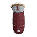 GF Pet Burgundy Winter Sailor Dog Parka, Large