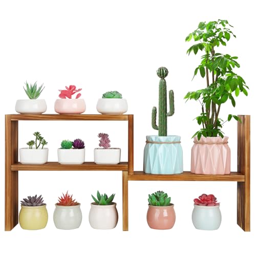 OcBuct 5 Tiered Small Window Plant Shelf,Wooden Desktop Plant Stand