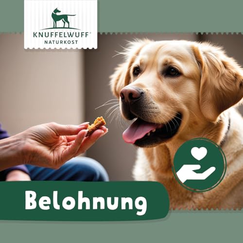 Knuffelwuff 4X große Fleischtaschen (ca. 80 g) | Leckere Hühnerbrust und Rinderrohhaut: Belohnen Sie Ihren Hund mit gesundem Kauen für Starke Kaumuskeln | wiederverschiessbar | für alle Hunderassen