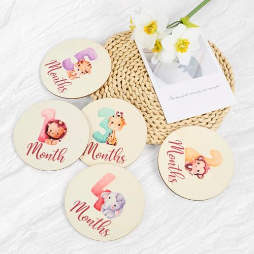 Image of Baby Monthly Milestone Signs - 13 Pack Wooden Baby Milestone Cards for 1-12 Months, Newborn Photography Props with Hello World Discs, Gender Neutral Baby Announcement for Boy Girl Age Shower Gifts