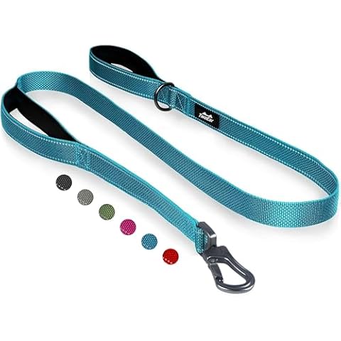 TwoEar 5FT 1IN Strong Blue Dog Leash with 2 Padded Handles, Traffic Handle Extra Control, Comfortable Soft Dual Handle, Auto Lock Hook, Reflective Walking Lead for Small Medium and Large Dogs Cover