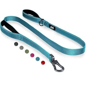 TwoEar 4FT 1IN Strong Blue Dog Leash with 2 Padded Handles, Traffic Handle Extra Control, Comfortable Soft Dual Handle, Auto Lock Hook, Reflective Walking Lead for Small Medium and Large Dogs