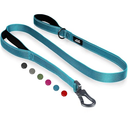 TwoEar 6FT 1IN Strong Blue Dog Leash with 2 Padded Handles, Traffic Handle Extra Control, Comfortable Soft Dual Handle, Auto Lock Hook, Reflective Walking Lead for Small Medium and Large Dog