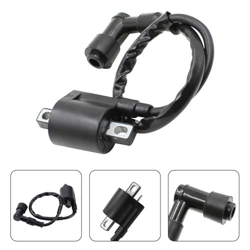 Bobina de encendido para solucionar problemas de arranque en frío de scooters 2