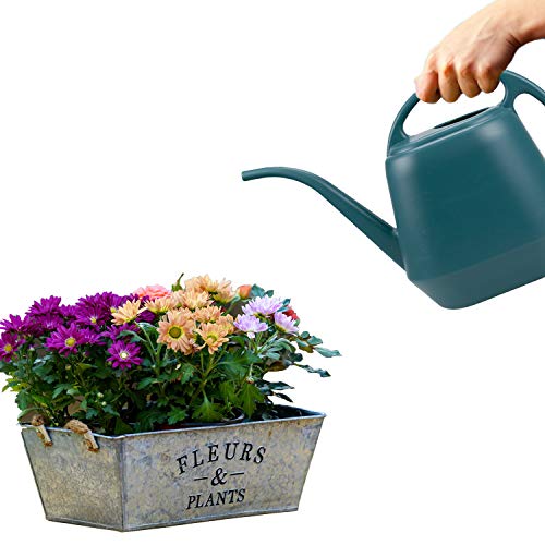 Fasmov Plastic Watering Can, 1-Gallon, Green - Image 5