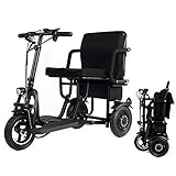 YHXJ Scooters discapacitados, Scooter Eléctrico 3 Ruedas, Motor De 400 W, Batería Extraíble, Fácil De Cargar, Soporta 280 LB De Peso, Solo 58 LB 30km