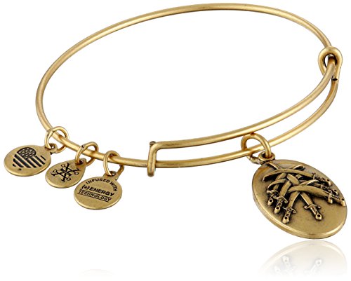 Alex and Ani Seven Swords III Expandable Rafaelian Gold Bangle Bracelet