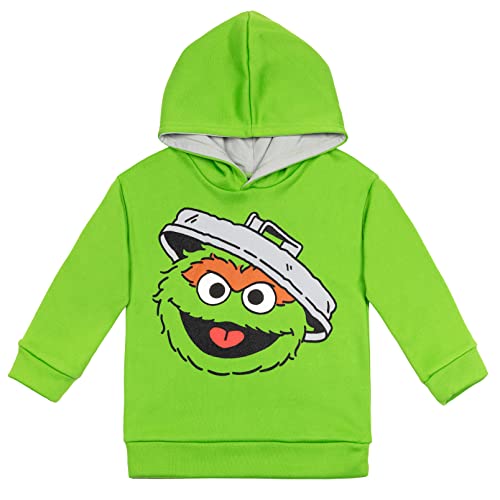 Image of Sesame Street Fleece Pullover Hoodie for Baby & Kids