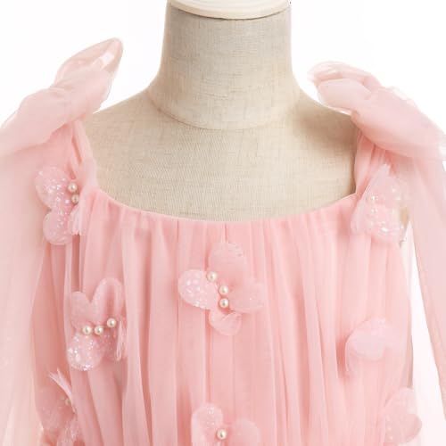 Baby Girl Sleeveless 3D Butterfly Floral Embroidery Ruffle Tulle Dress Toddler Birthday Party Tulle Dress4