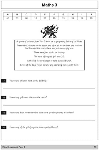 11+ Practice Papers for the CEM Test: Set 1 Tests for English, Verbal Reasoning, Maths and Non-Verbal Reasoning (Ages 10-11) by Tracey Phelps, the tutor with a 96% pass rate (Cover may vary)