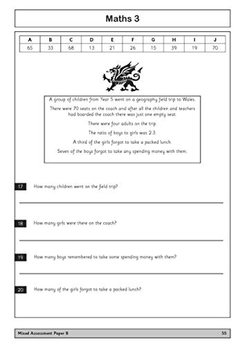 11+ Practice Papers for the CEM Test Ages 10-11 -