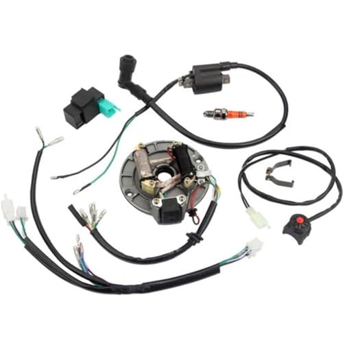 Faisceau de câblage et stator résistant à l'eau pour moto 4T