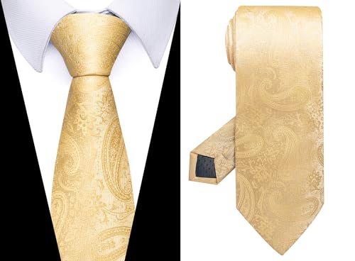 Image of Passabin Tie For Men Necktie Woven Jacquard Neck Ties Set 6 PCS