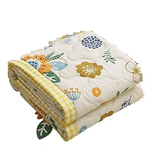 AQQWWER Couvertures Cool Summer Quilt Soft Washed Microfiber Duvets Conditioning Comforters Home Office Nap Blanket