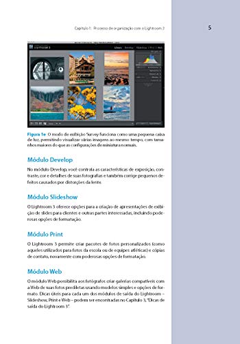 Adobe Digital Imaging How-Tos: Para photoshop CS5, Lightroom 3 e câmera Raw 6