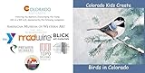  Colorado Kids Create Birds in Colorado (English Edition)