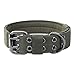 OneTigris Military Adjustable Dog Collar with Metal D Ring & Buckle 2 Sizes (Ranger Green, M)