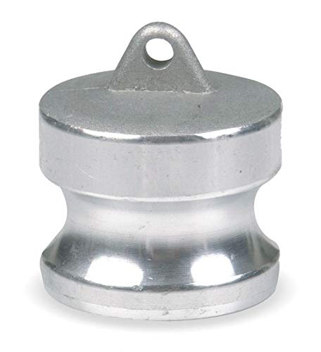 Dust Plug, 2 in, 316 SS