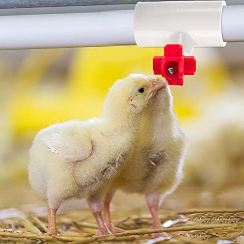 Hedume 40 Pack Chicken Waterer PVC Tee Fittings, PVC Tee Fittings for Threaded Poultry Nipples Chicken Water Drinker and Feeder Cups, Fully Automatic Poultry Waterers - 4