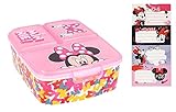 Theonoi Kinder Brotdose Lunchbox Sandwichbox - Brotdose Kinder Lunchbox mit Fächern - Brotbox mit Unterteilung - BPA frei mit Namens-Aufkleber (Minnie Mouse)