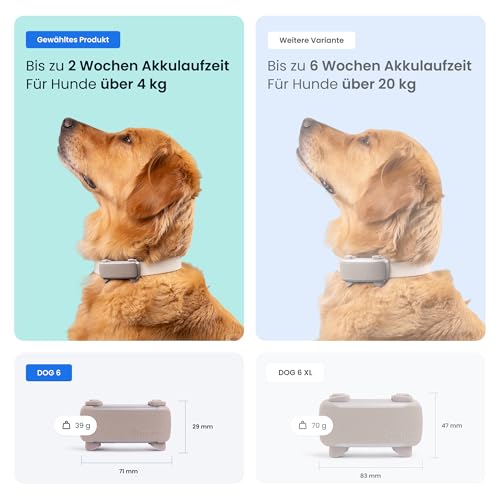 Tractive GPS Tracker Hund | 2025 Edition | Live-Ortung | Weglaufalarm | Aktivitätstracking | Gesundheitswarnungen | Bellverhalten | Empfohlen von Martin Rütter (Braun)
