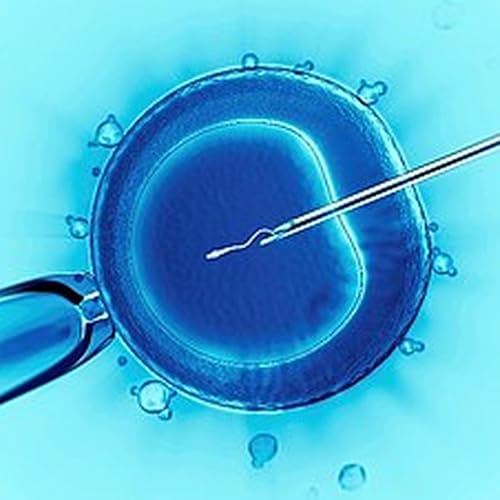 Massive compensation payouts made after spate of IVF blunders