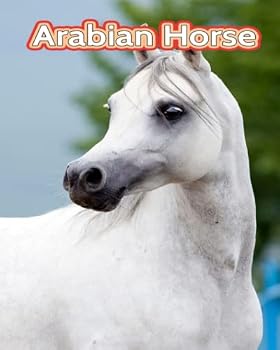 Paperback Arabian Horse: Fun Facts Book For Kids [Large Print] Book