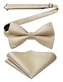 HISDERN Pajarita Hombre Beige Elegante Pre-atado y Ajustable Pajarita y Pañuelo de Bolsillo para Boda Formal Fiesta y Graduación
