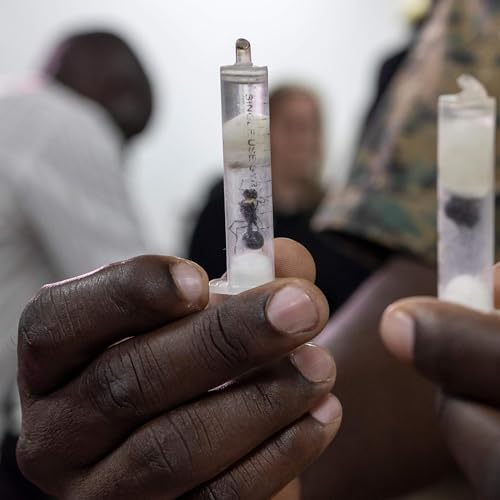 Trump and truckers, Poland prospers, and a booming ant biz