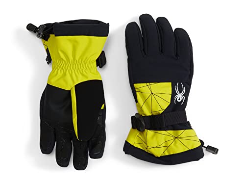 Spyder Boys Boys Overweb Ski Glove