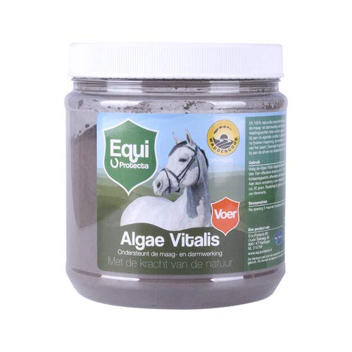 Algae Vitalis 800 g poudre d'algues de mer vitalit茅 corps