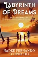 Labyrinth of Dreams: She has a dream. He has a plan. But an unexpected secret child could destroy everything. 1998287270 Book Cover