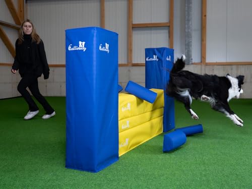 Callieway Turnier Agility Mauer „Bounce Over - Soft“ – alle FCI Sprunghöhen (gelb/blau)