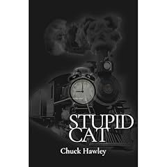 Stupid Cat Audiolibro Por Chuck Hawley arte de portada
