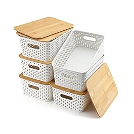 Storage Bins with Lids...