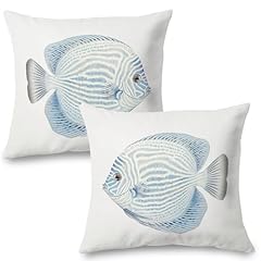 Tropical Discus Fish