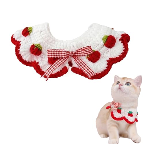 Qiansail 킢L̎ցAC`Š̒lN^C̋݁AȎq̎̕qL̎q̂߂̃ybg()