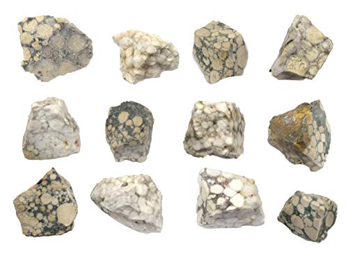 EISCO Raw Conglomerate, Sedimentary Rock Specimen - Approx. 1