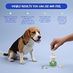 Milk Thistle for Dogs 120 Tablets - Liver, Kidney & Detox Support | Silymarin with Choline & L-Arginine. Supports liver detox, kidney function & hepatic health with EPA & DHA. - Image 2