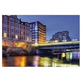 BEAYODKP 5D DIY Diamantmalerei Kit，Benno Ohnesorg Brücke，Kristallmosaik Vollbohrer Round Diamantmalerei Stickerei Zubehör（50 x 60 cm/19.68 x 23.62 Zoll）-AF2