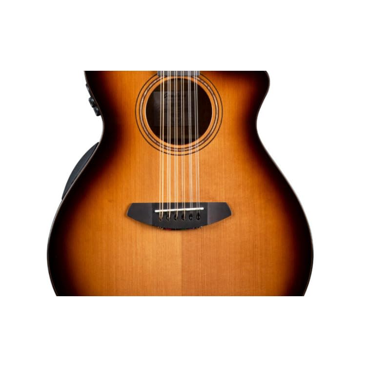 Amazon.com: Breedlove Organic Solo Pro Concert CE 12-string