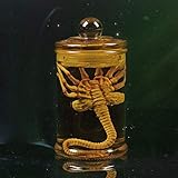 Der Facehugger ist für 1/6 Soldaten-, Figuren- und Körpermodelle geeignet