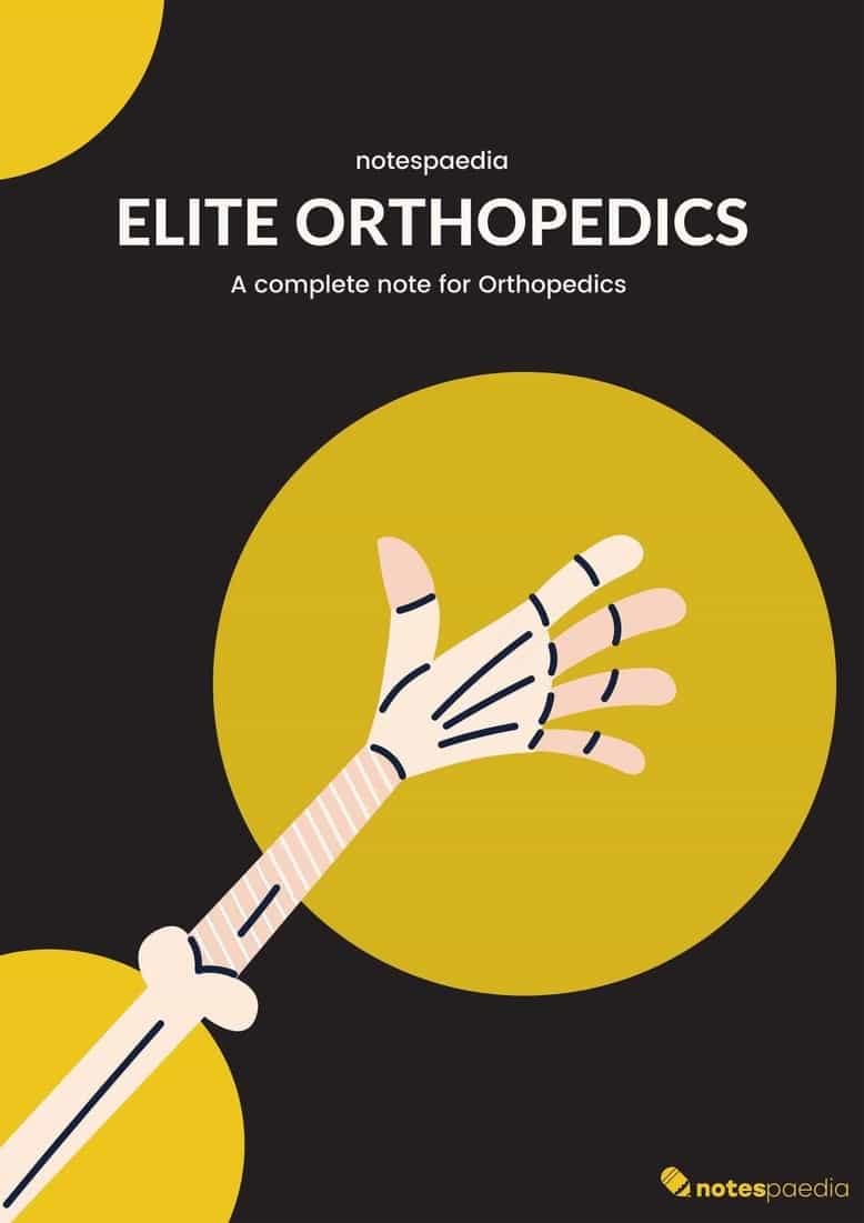 Elite Orthopaedics